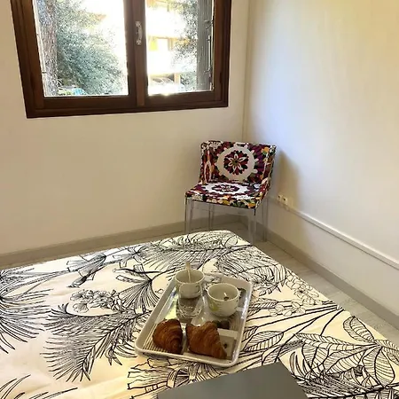 Raffinees A Pietranera * San-Martino-di-Lota