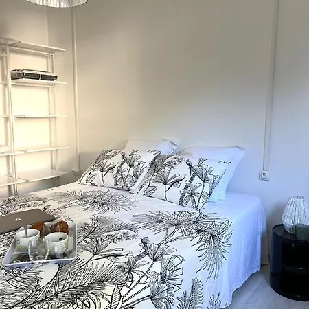 Raffinees A Pietranera San-Martino-di-Lota